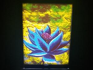 A photo showing my fully assembled 3D printed lithophane lamp using the 3D printed picture frame lit up. The color lithophane is of the artwork from a Magic the Gathering card named Black Lotus and shows a Black Lotus in front of a field of grass.